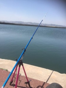 IMG_0866.JPG