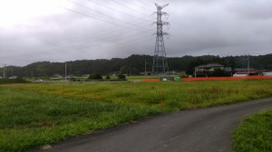 DSC_0798.jpg