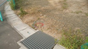 1475476961545.jpg