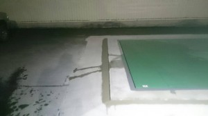 1479115249321.jpg