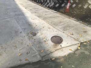 1479724094368.jpg