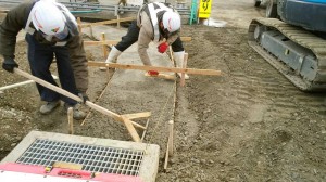 Image_836d287.jpg